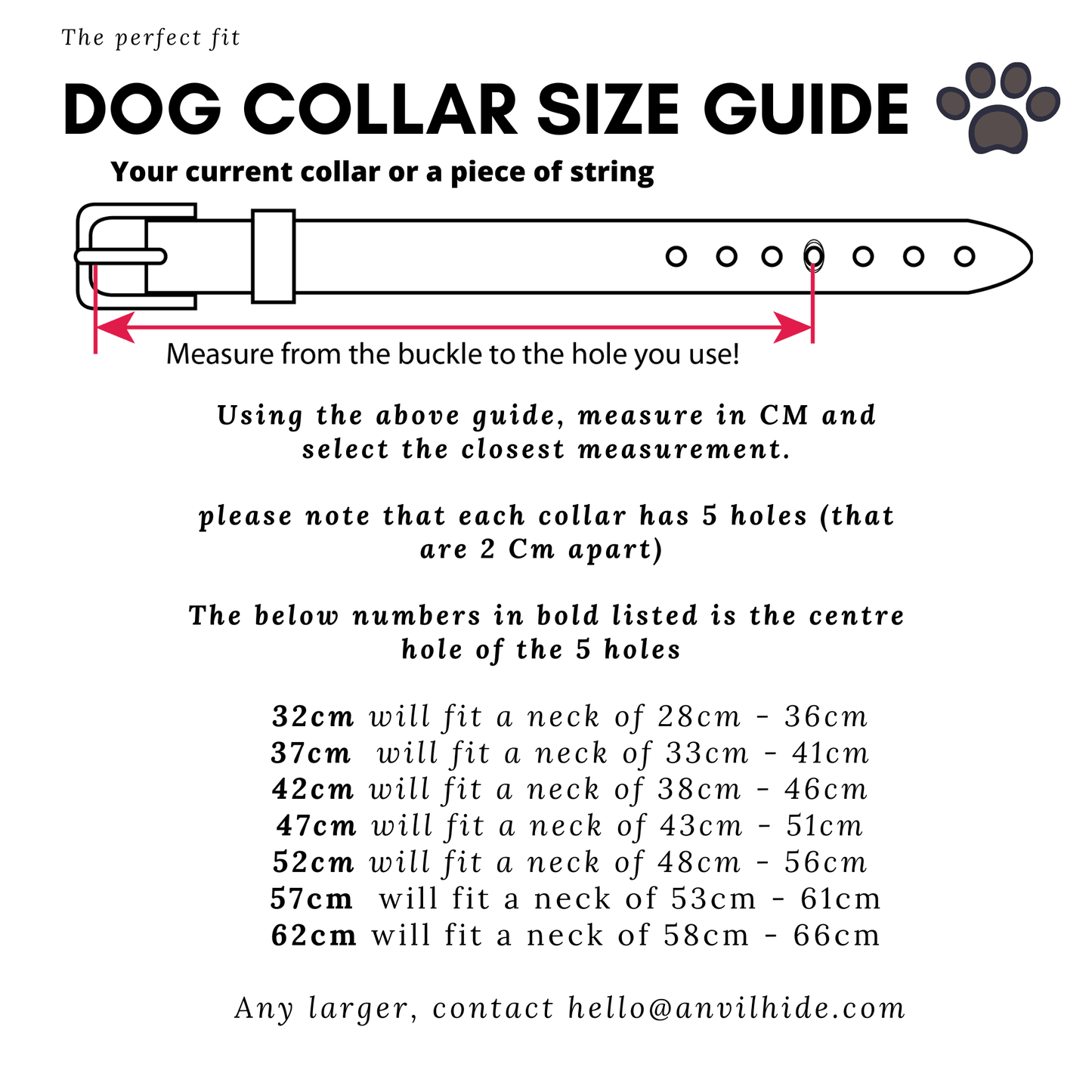Dog Collar - Anvil Hide