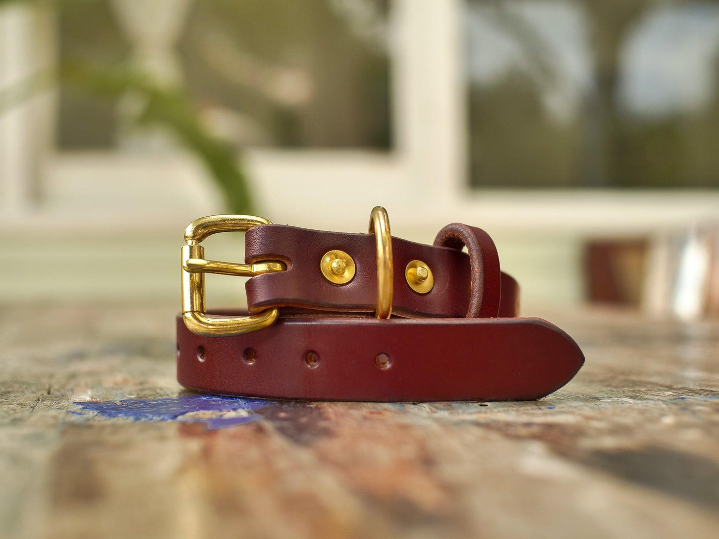 Dog Collar - Anvil Hide