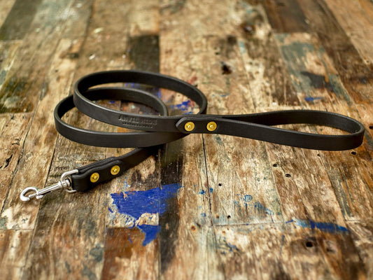 Dog Lead - Anvil Hide