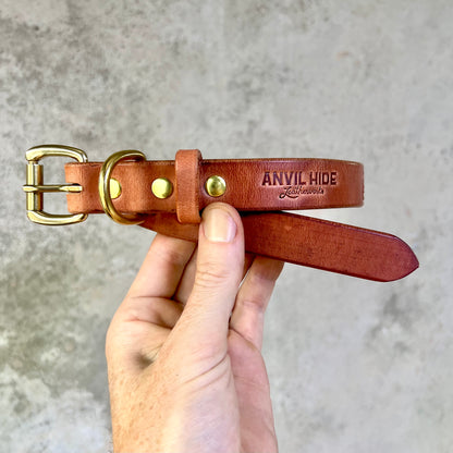 Dog Collar