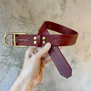 BIG Dog Collar