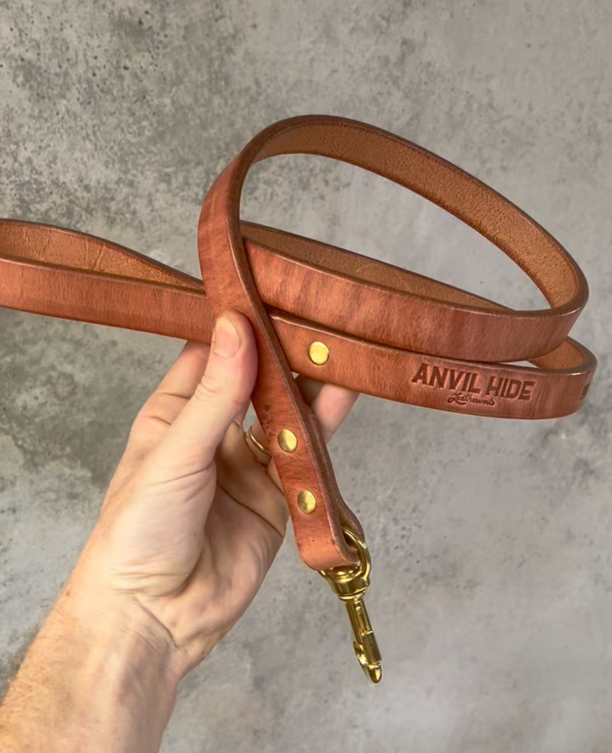 Dog Lead