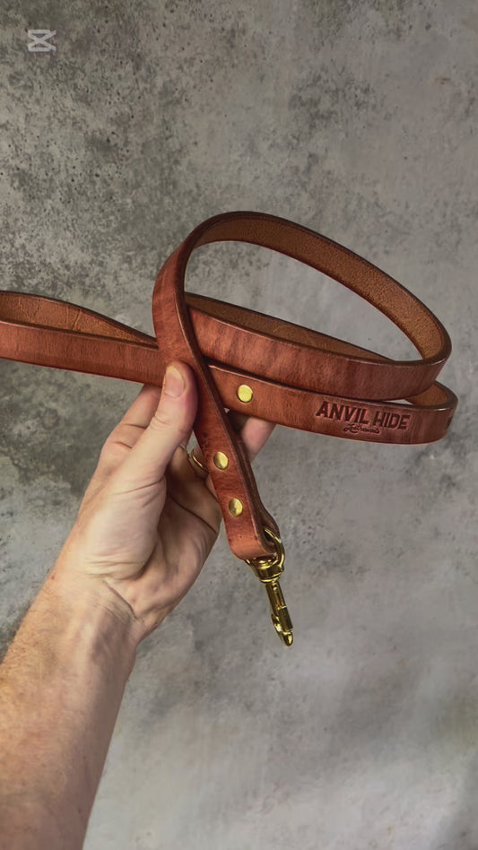 Dog Lead