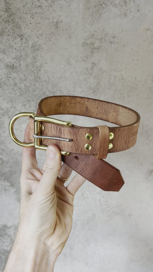 BIG Dog Collar